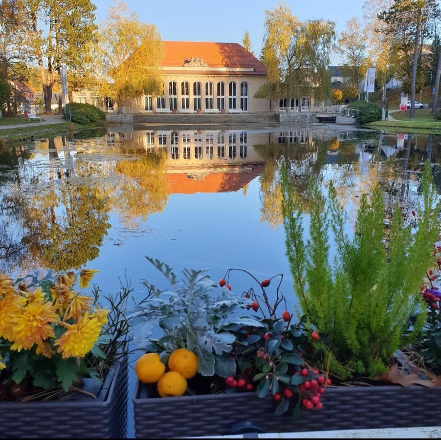 Hotel Garni Schloss Schoenberg Bad Brambach Eksteriør billede
