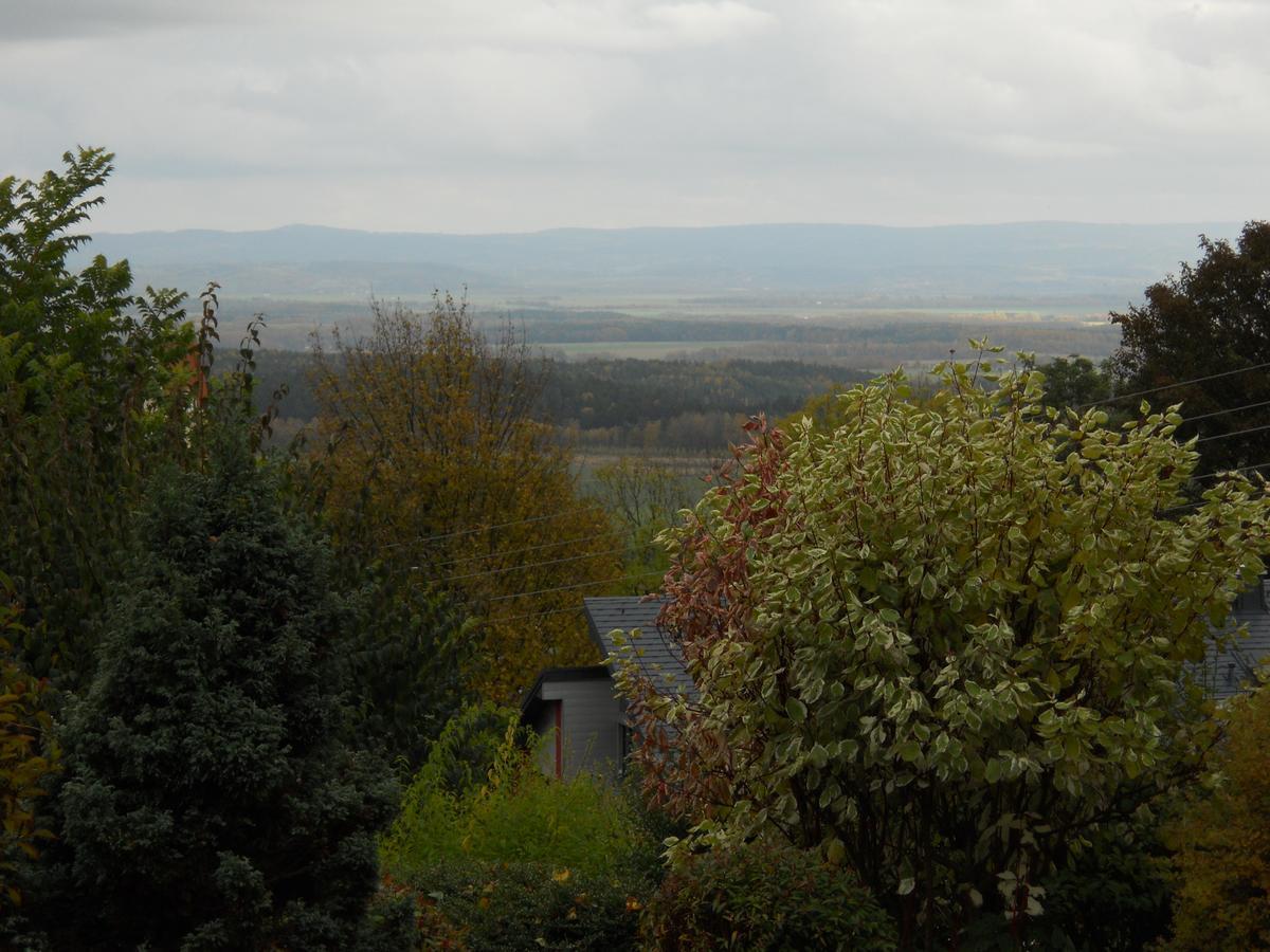 Hotel Garni Schloss Schoenberg Bad Brambach Eksteriør billede